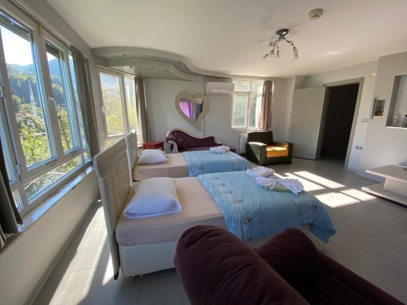 Cosy Park Apartment image