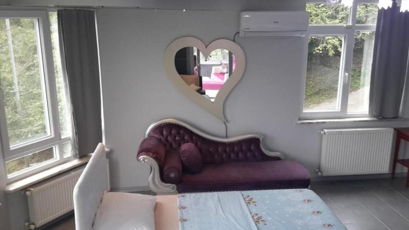 Cosy Park Apartment image