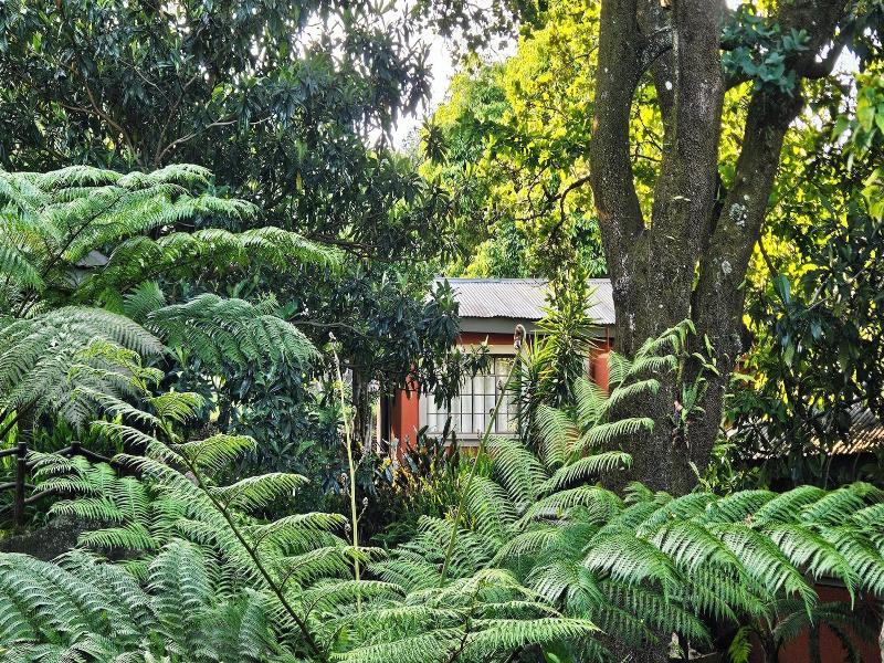 Lidwala Lodge - Hostel image
