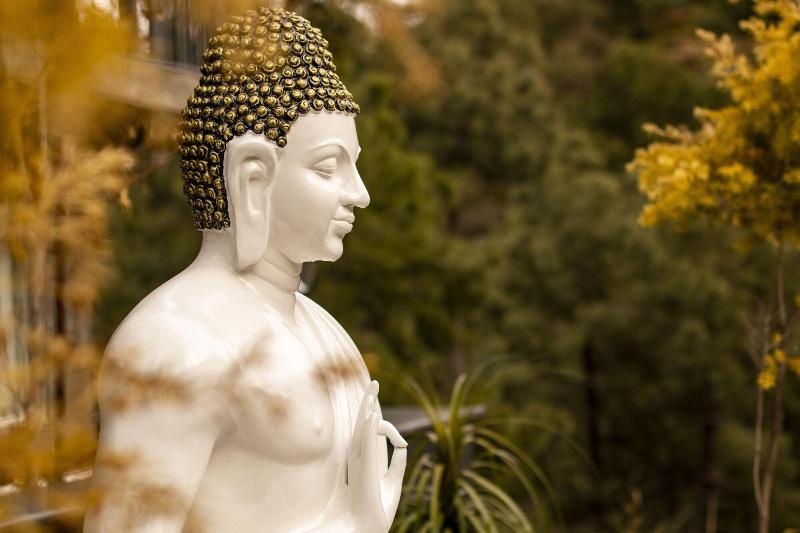 Golden Fern Resort image