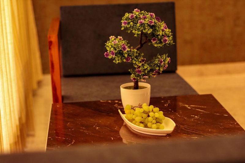 Golden Fern Resort image