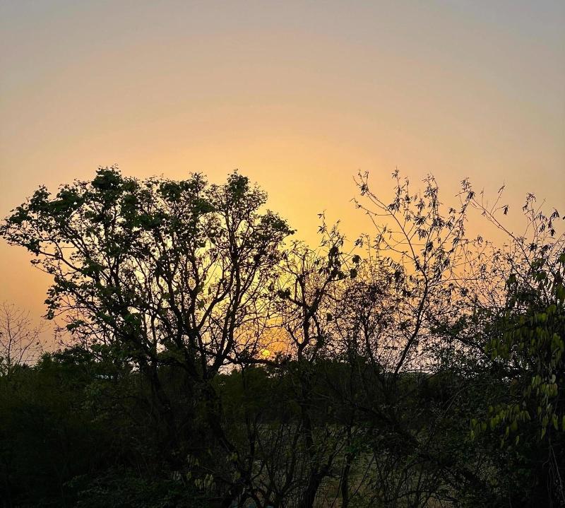The Postcard Gir Wildlife Sanctuary image