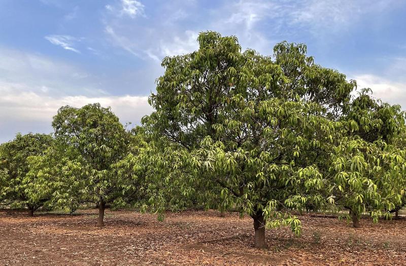 The Postcard Gir Wildlife Sanctuary image