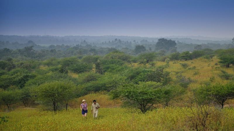 The Postcard Gir Wildlife Sanctuary image