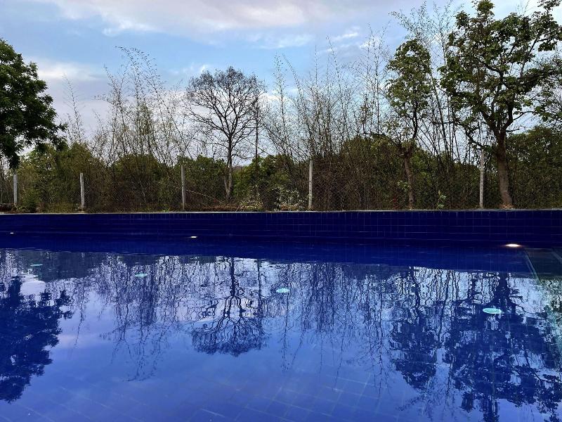 The Postcard Gir Wildlife Sanctuary image