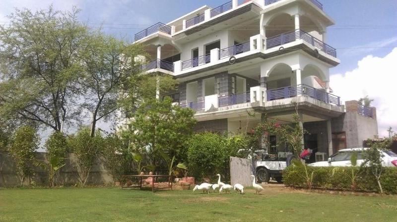 Ibishouse Farm Stay image