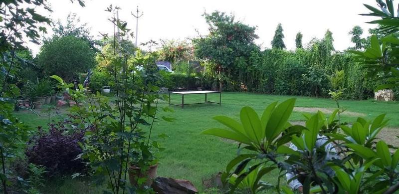 Ibishouse Farm Stay image
