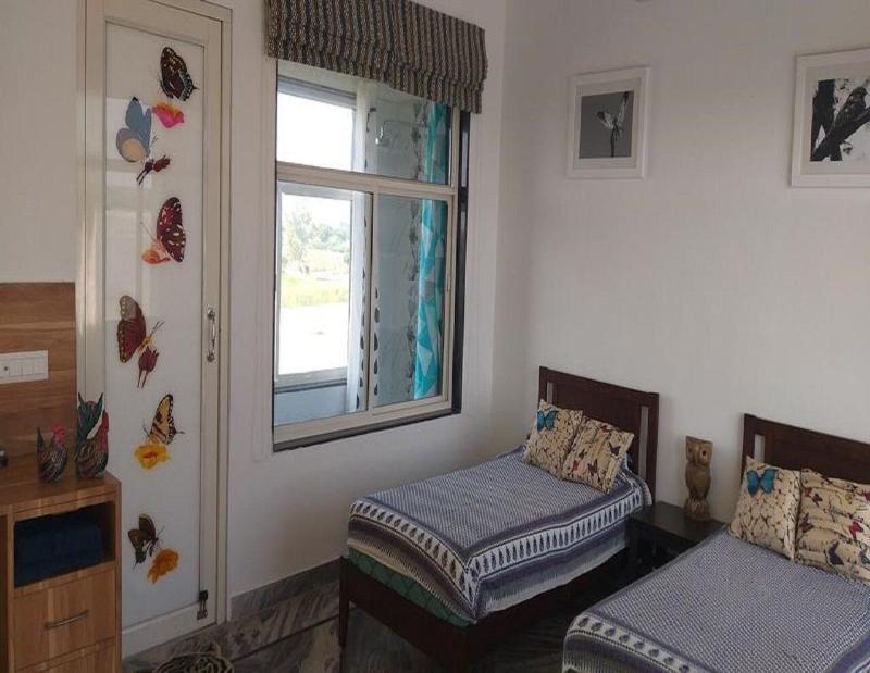 Ibishouse Farm Stay image