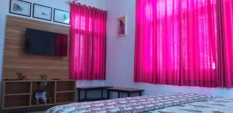 Ibishouse Farm Stay image