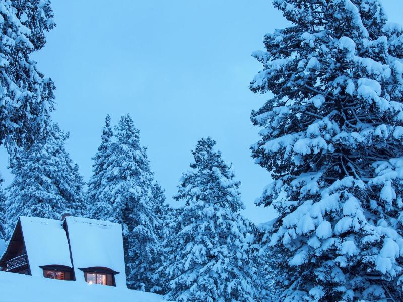 Chalet Alpinka image