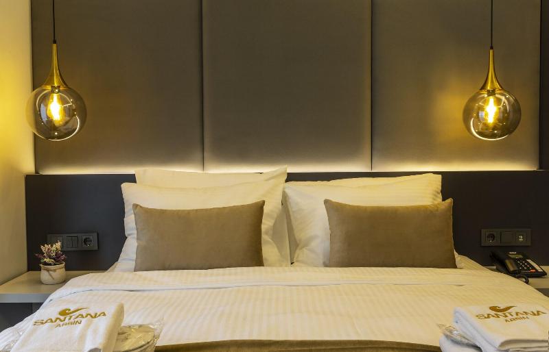 Santana Hotel image