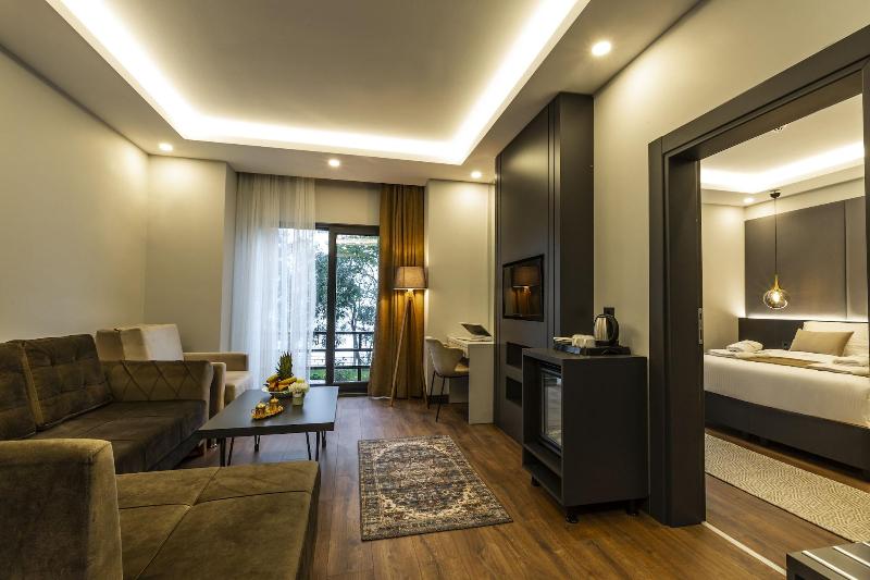 Santana Hotel image