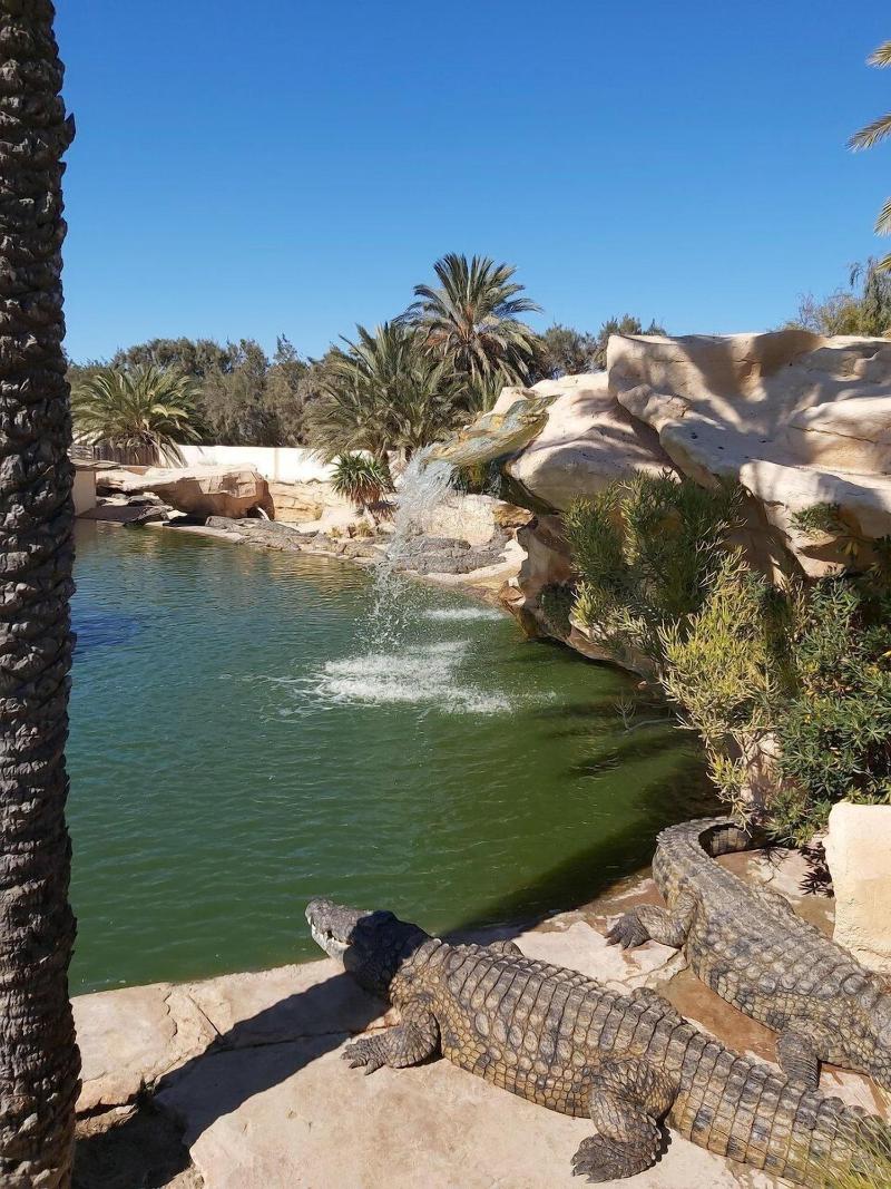 Hotel Mizwar Djerba — general view