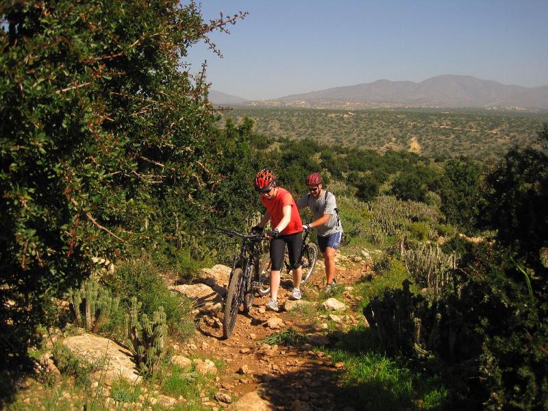 Atlas Kasbah Ecolodge image