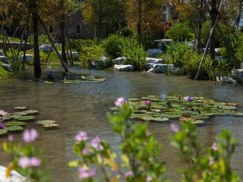 Sunnylands Farm B&b image