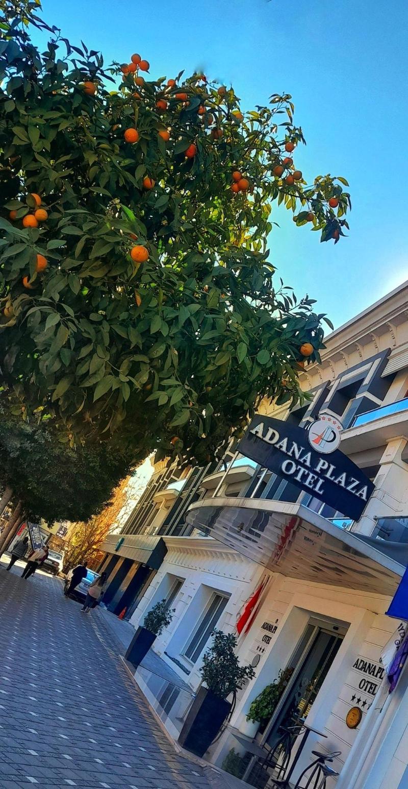 Adana Plaza Otel