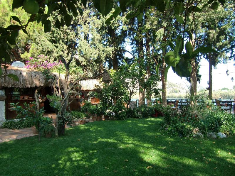 Happy Caretta Hotel image