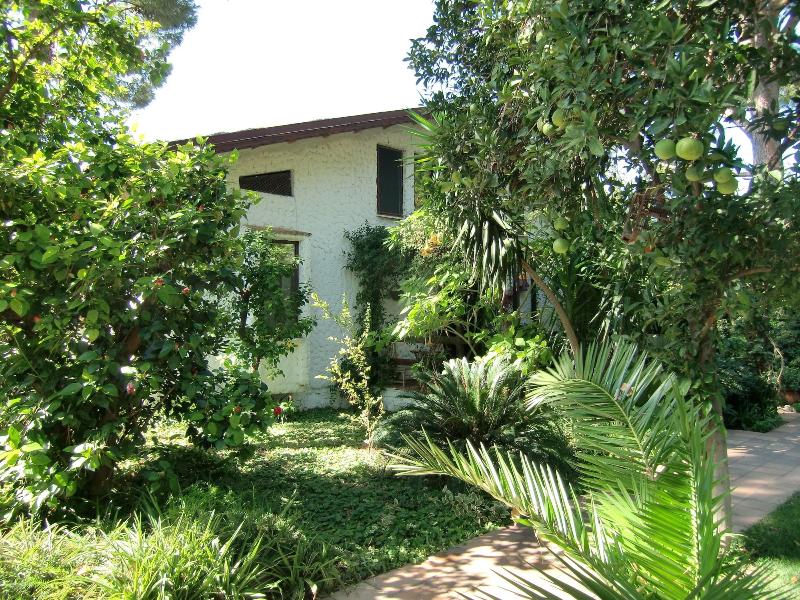 Happy Caretta Hotel image