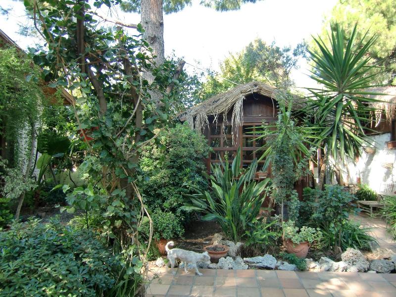 Happy Caretta Hotel image