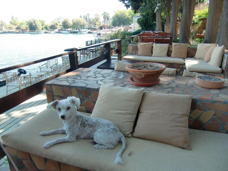 Happy Caretta Hotel image