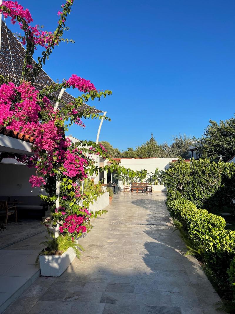 Lavinya Otel image
