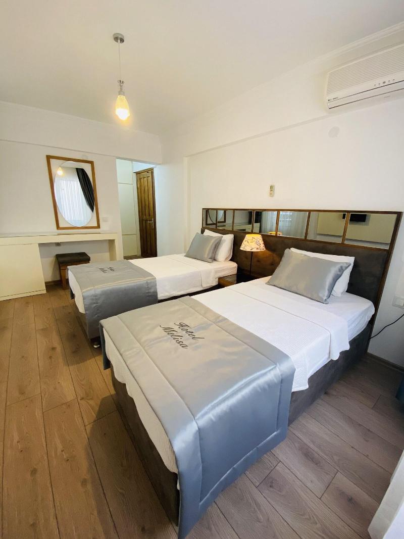 Hotel Melisa image