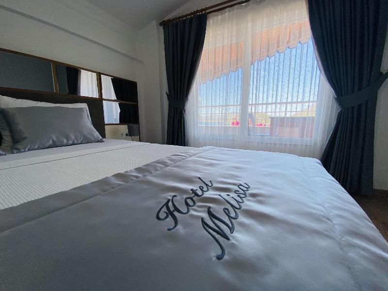 Hotel Melisa image