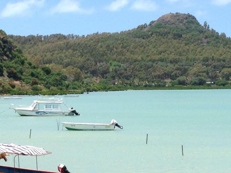 Oasis Vacances — photo 3