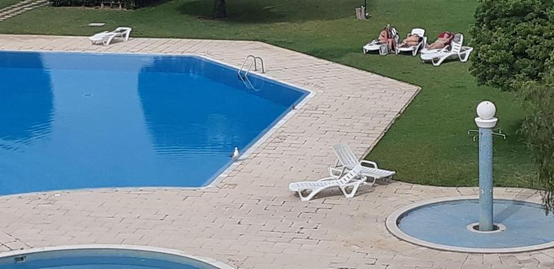 Jeannies Oura Estrela Apartamentos image