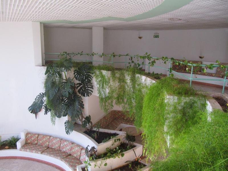 Jeannies Oura Estrela Apartamentos image