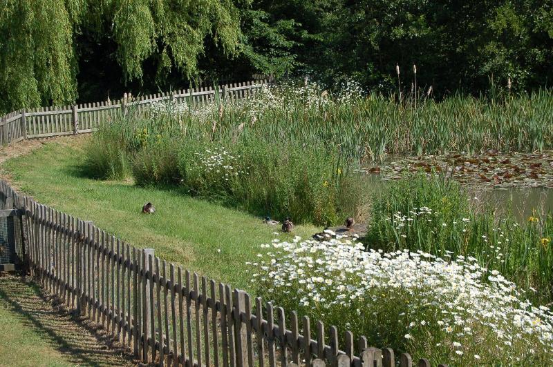Watermeadow Lakes And Lodges image
