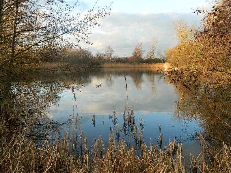 Watermeadow Lakes And Lodges image
