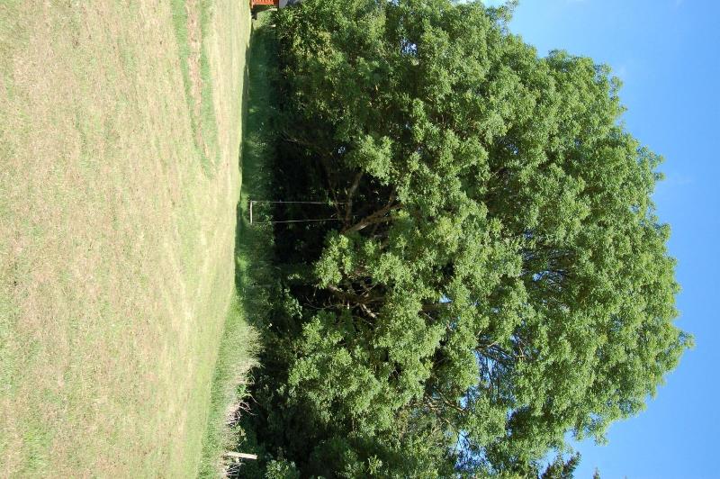 Watermeadow Lakes And Lodges image