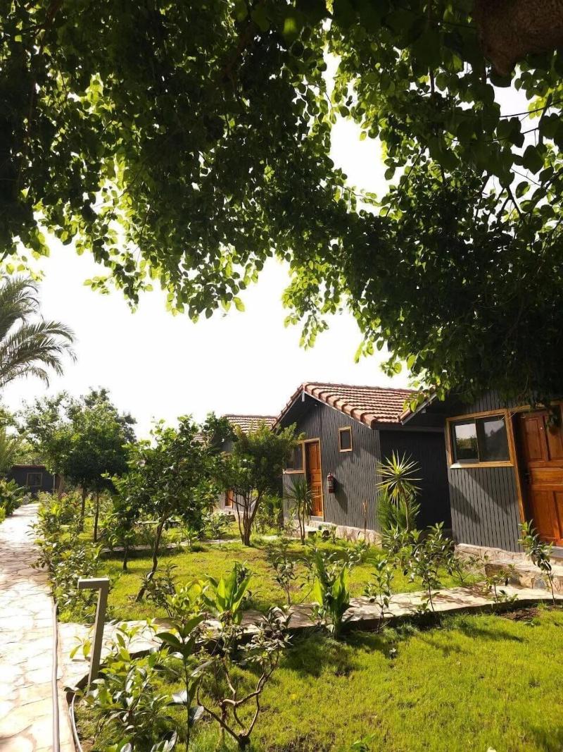 Bungalowsky