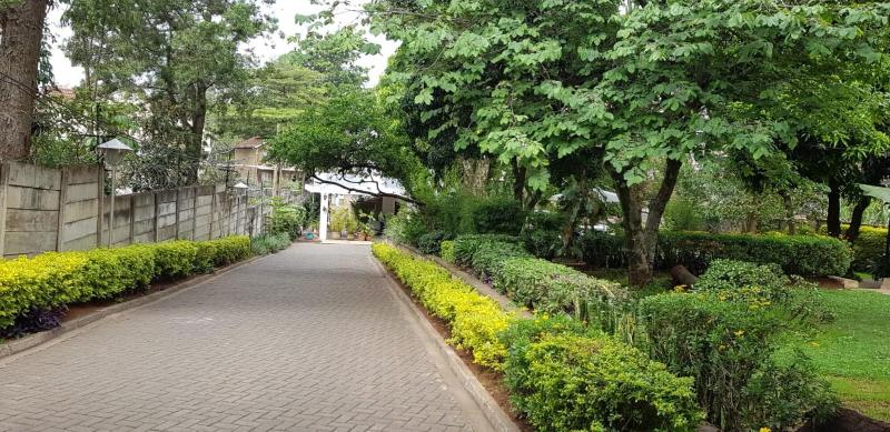 Ain Guest House image