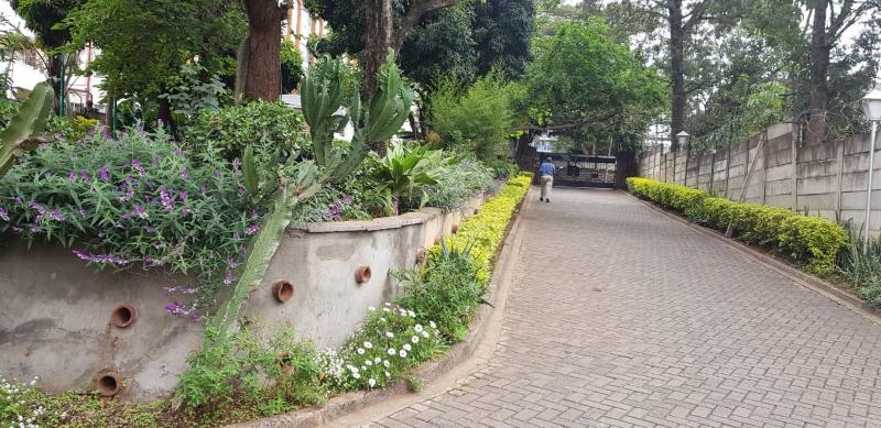 Ain Guest House image