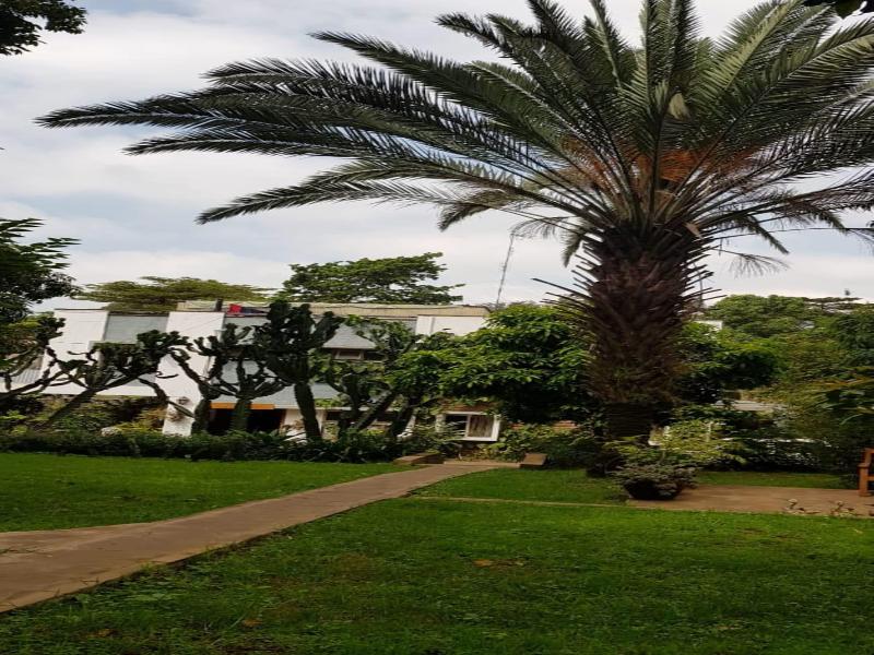 Ain Guest House image