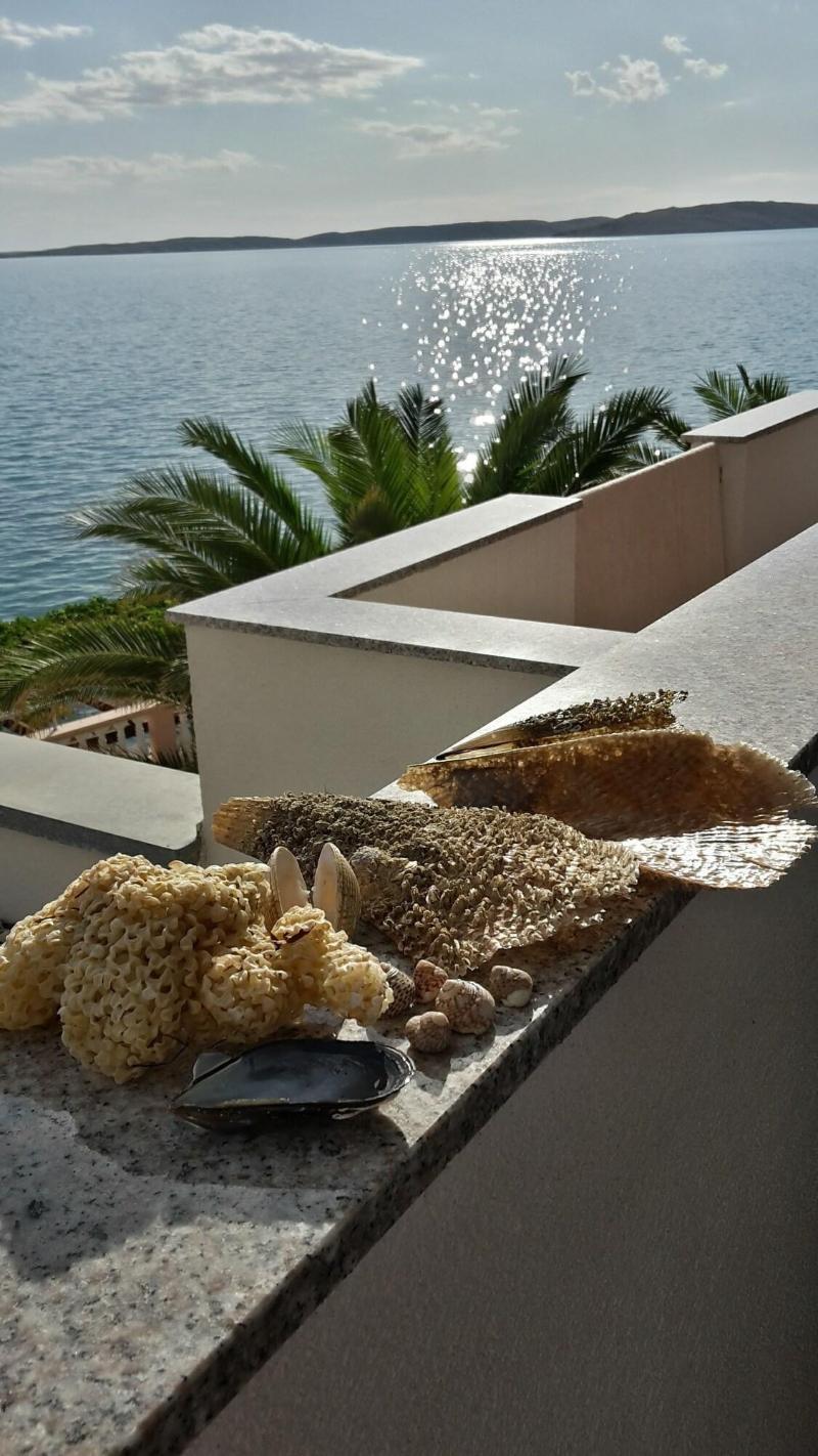 Pension Augustino image