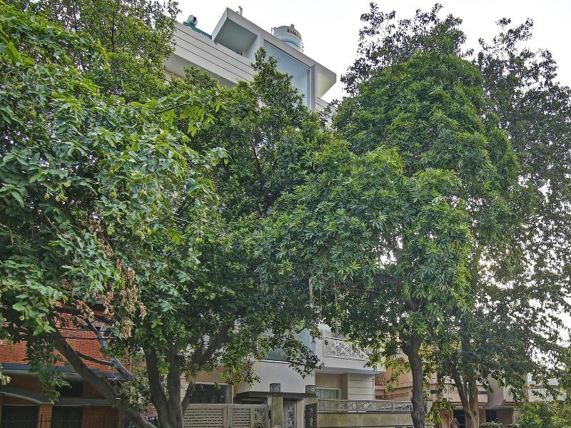 Treebo Trend Aviraj Inn image