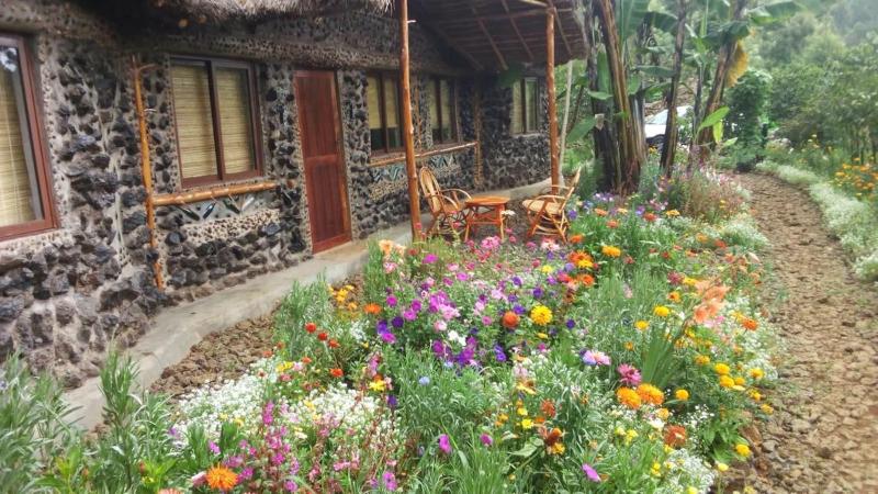 Mt. Kenya Riverside Retreat image