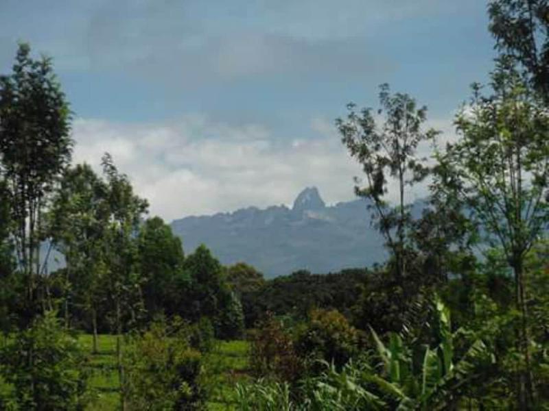 Mt. Kenya Riverside Retreat image