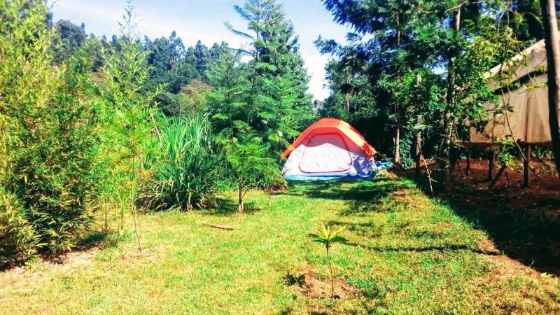 Mt. Kenya Riverside Retreat image