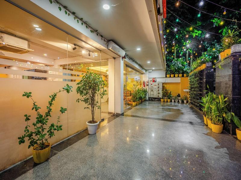 Lime Tree Luxury Studio  image