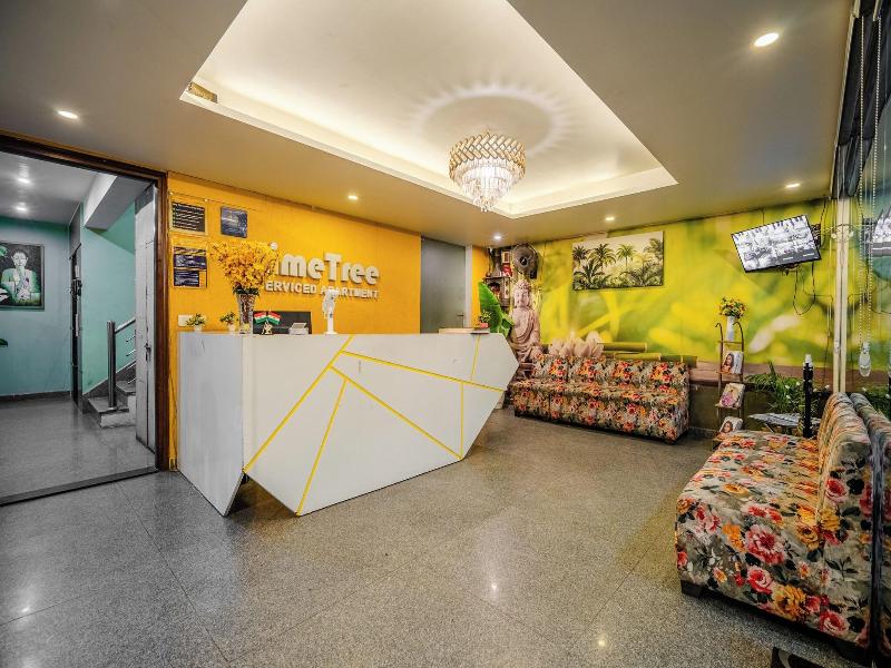Lime Tree Luxury Studio  image