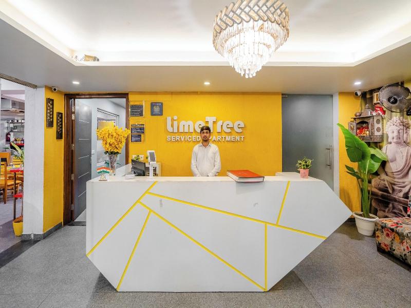 Lime Tree Luxury Studio  image