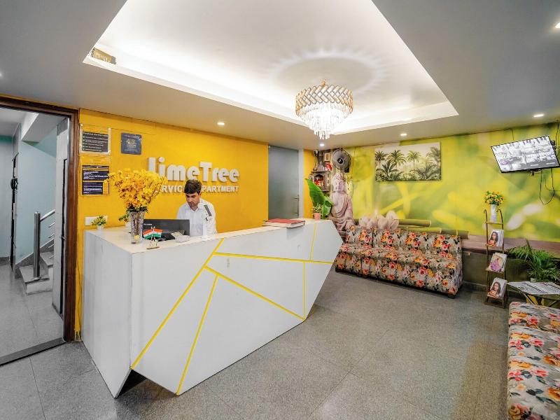 Lime Tree Luxury Studio  image