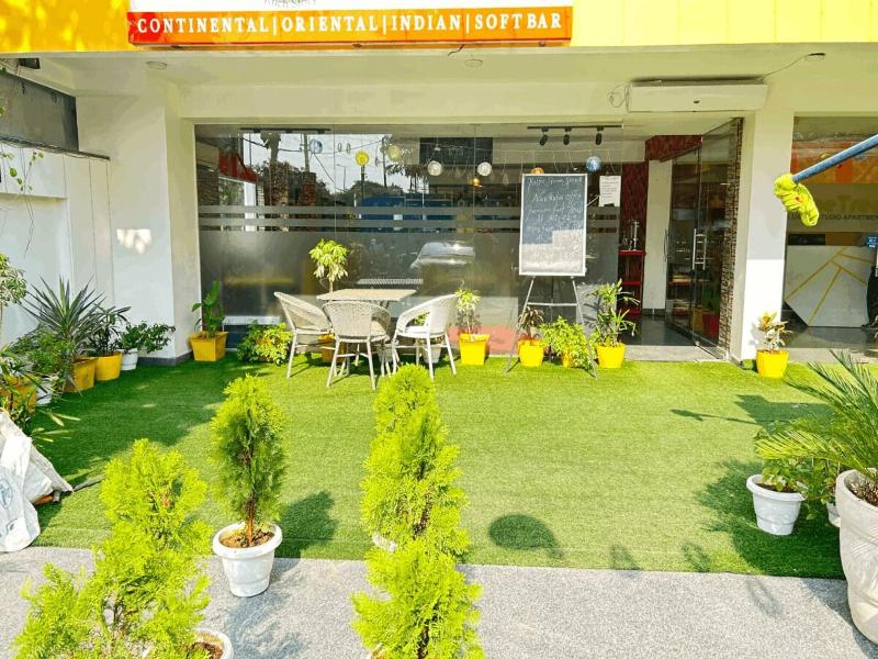 Lime Tree Luxury Studio  image