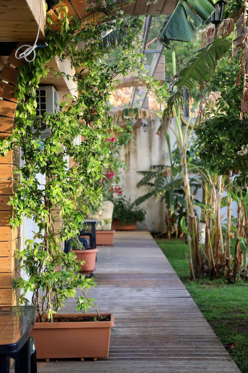 Villa Green Garden image