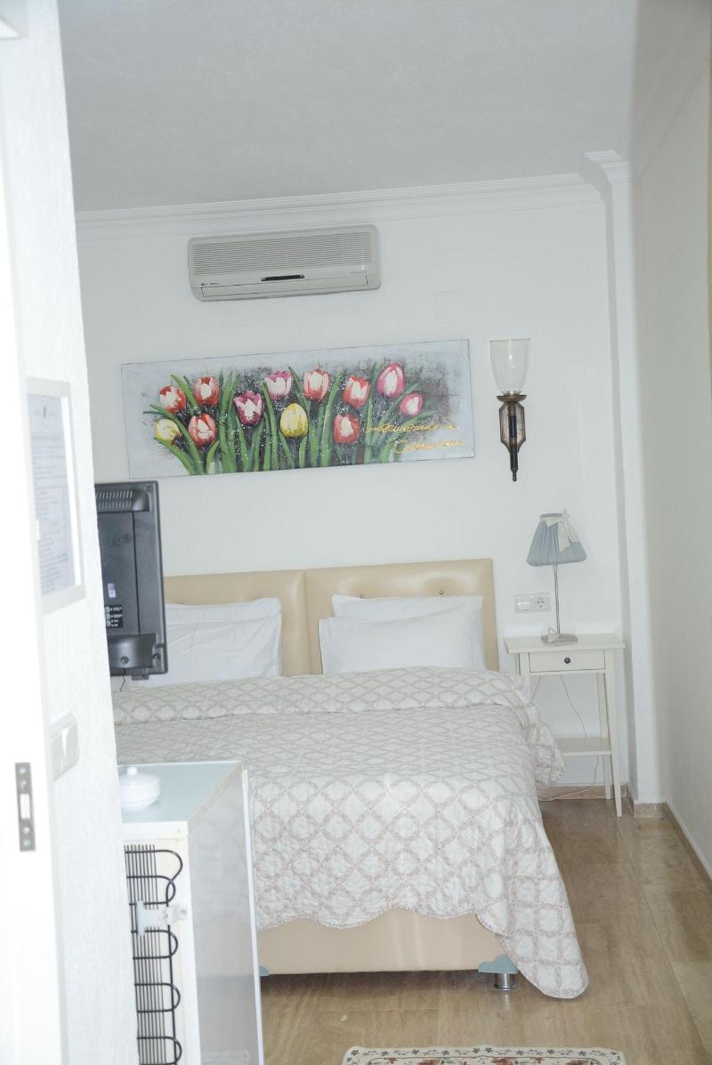 Berg Hotel image