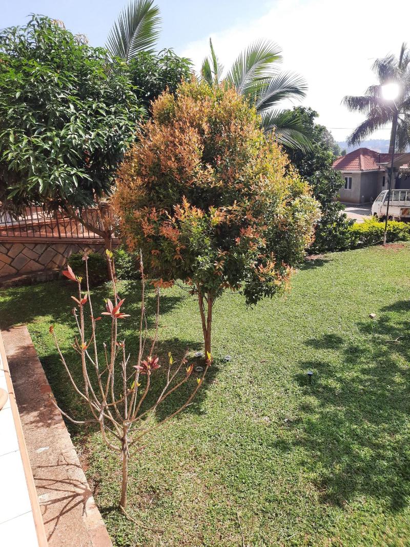 Airport Side Hotel Entebbe image
